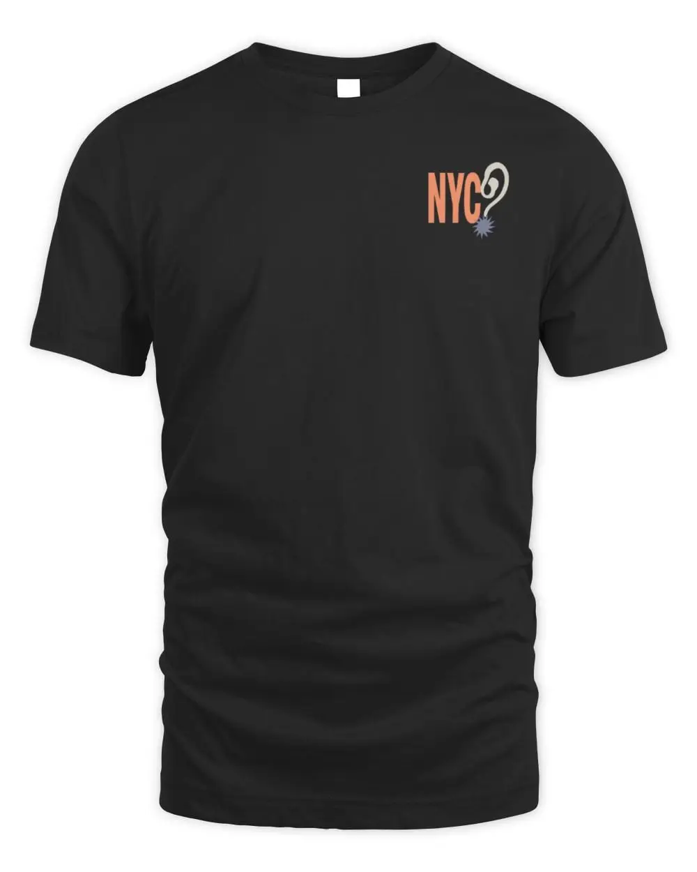 Hdwgh? Msg, New York T-Shirt