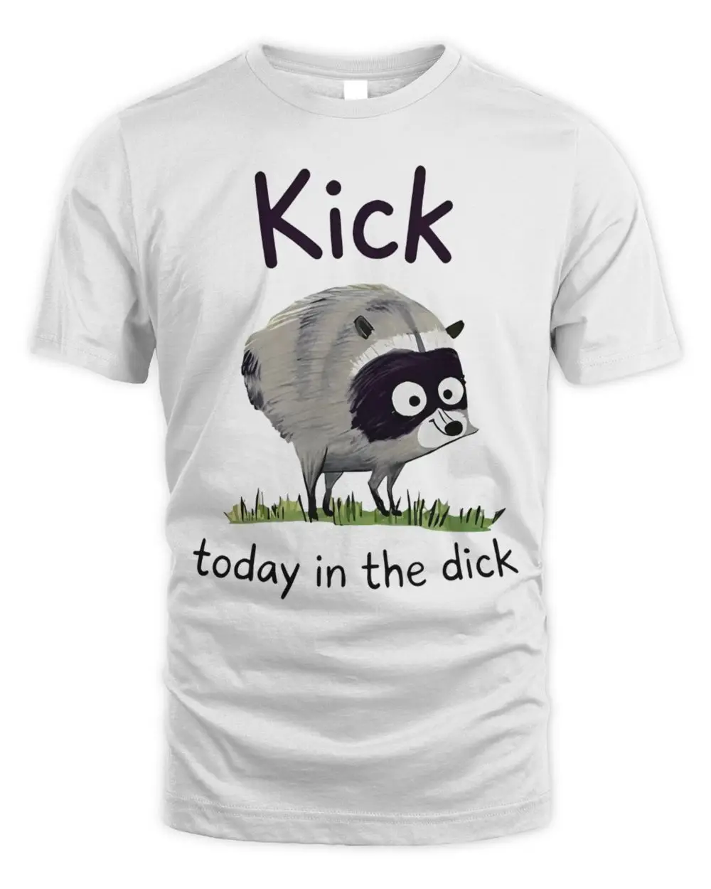 Kick Today In The Dick Jimothy Raccoon T Shirt