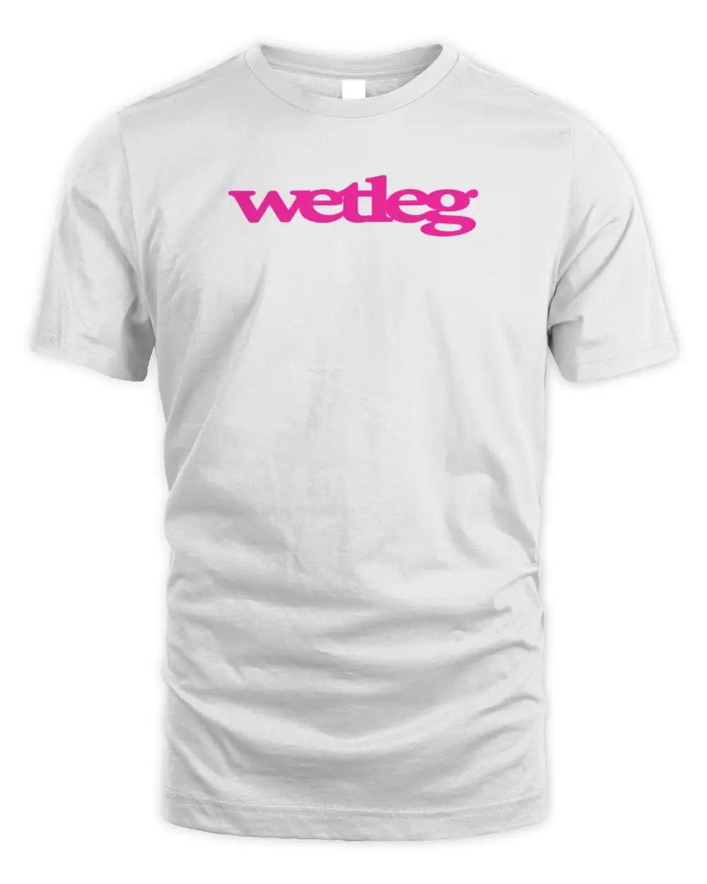 Wet Leg Merch Wet Leg Logo Sky Blue T Shirt