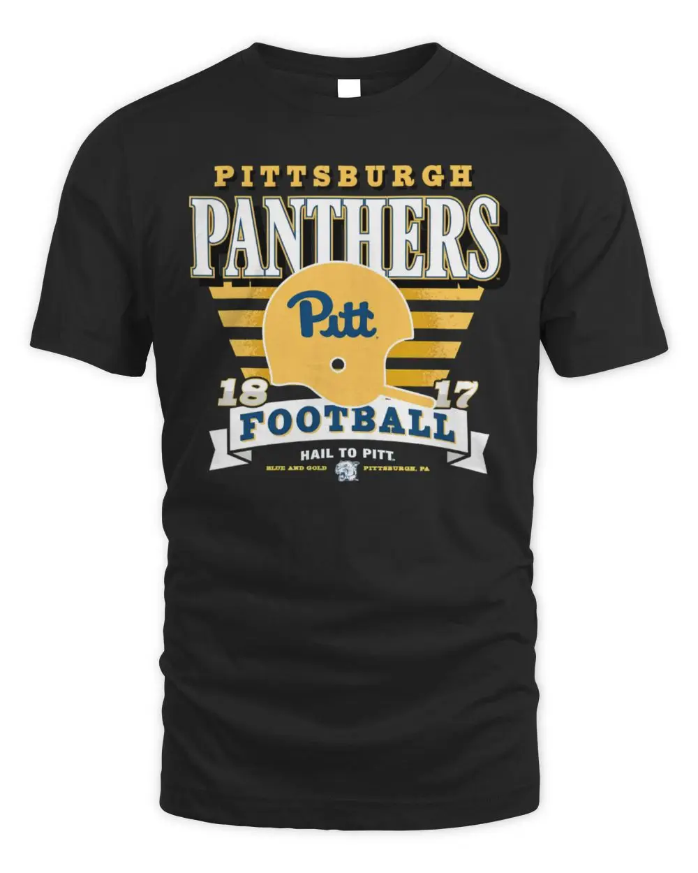 Pittsburgh Panthers Vintage Stripe Splash ’47 Hoodie