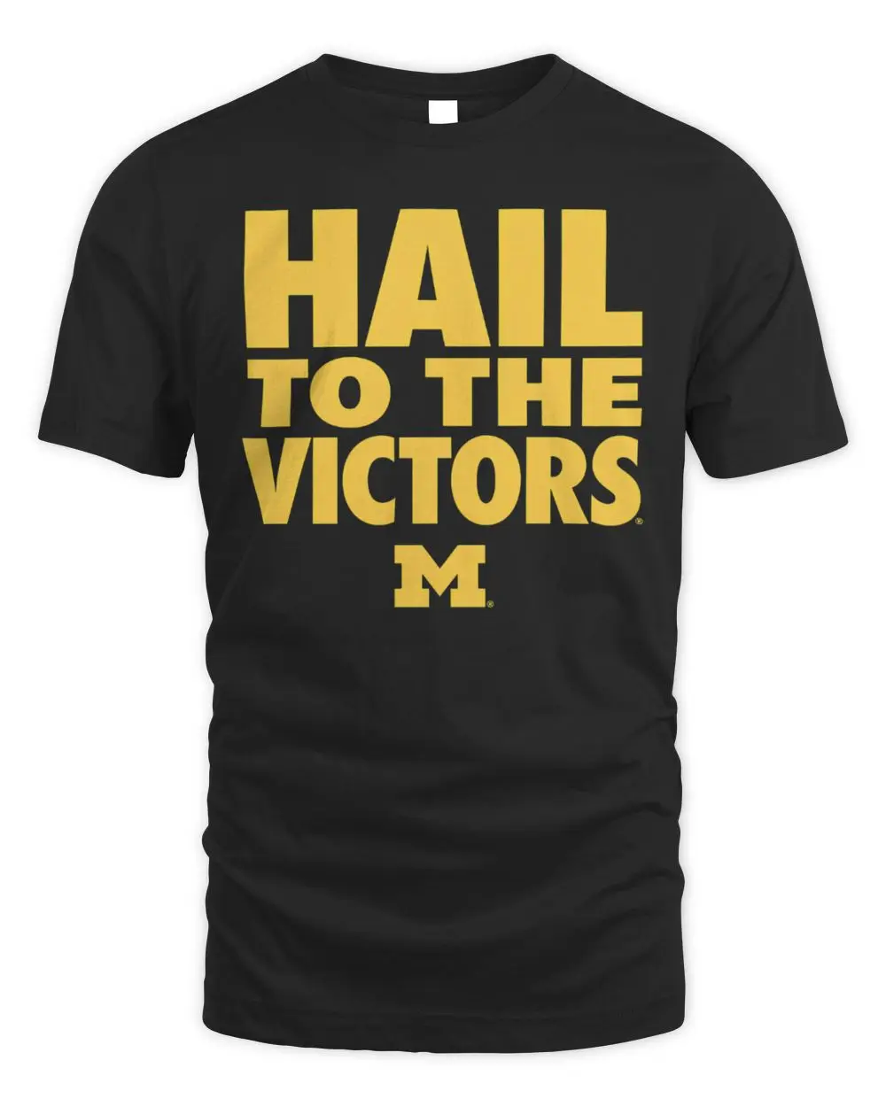 University Of Michigan Wolverines Hail To The Victors NCAA College M Logo Graphic Hoodie University Of Michigan Wolverines Hail To The Victors NCAA College M Logo Graphic Hoodie - Image 1
