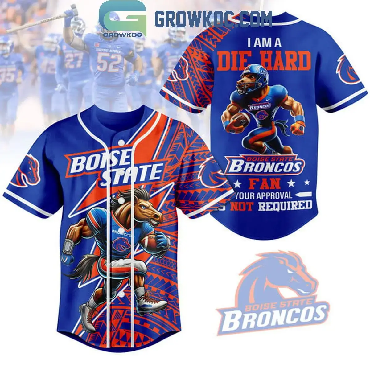 Boise State Broncos I Am A Die Hard Broncos Fan 2024 Baseball Jersey Image