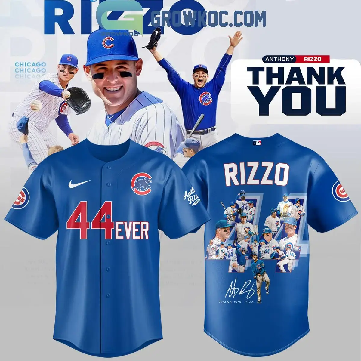 Chicago Cubs Thank You Legend Anthony Rizzo Forever In Our Hearts Jersey Image