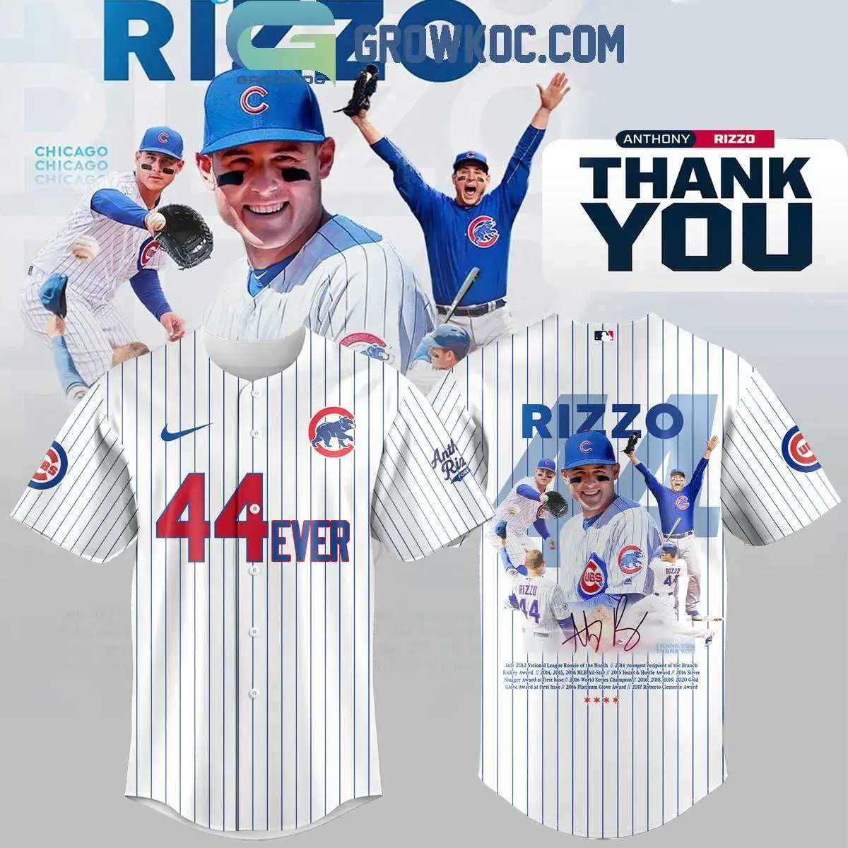 Chicago Cubs Thank You Legend Anthony Rizzo Forever In Our Hearts White Jersey Image