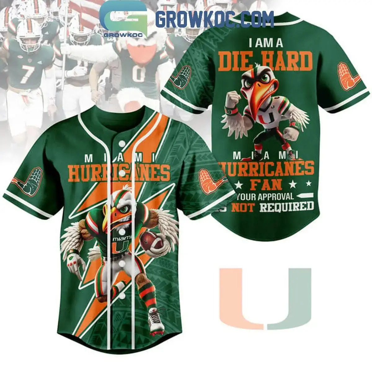 Miami Hurricanes I Am A Die Hard Hurricanes Fan 2024 Baseball Jersey Image