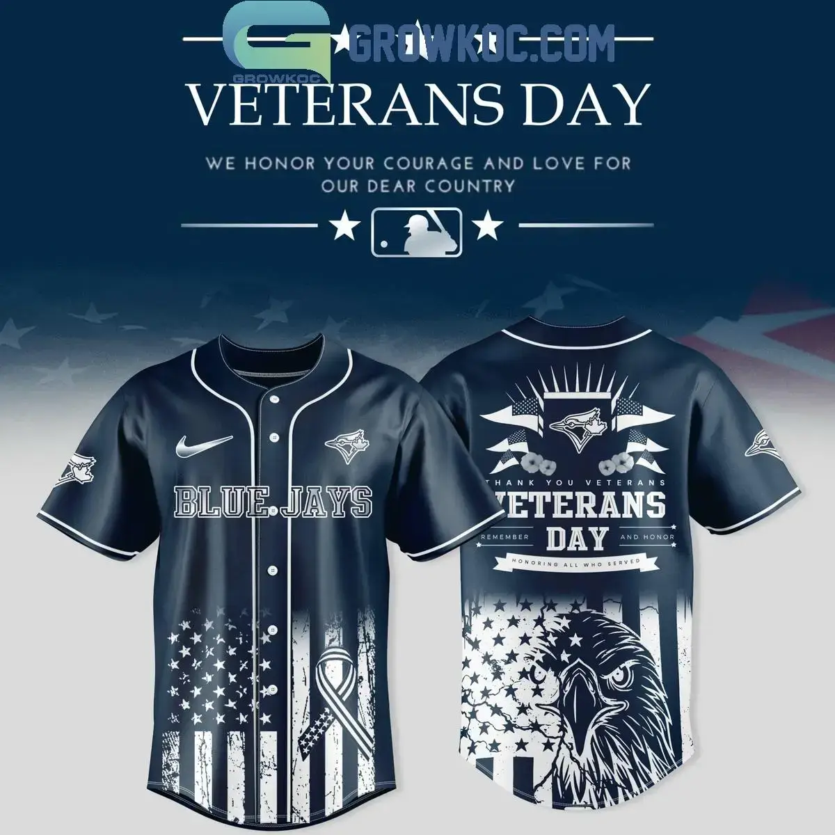 Toronto Blue Jays x Veterans Day 2025 Jersey Image